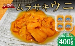 【ふるさと納税】小樽産 ムラサキウニ  塩水生ウニ 100g×4パック 合計約400g