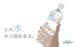 【ふるさと納税】北海道大雪山ゆきのみず（550ml×24本入り）　1箱