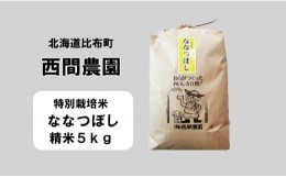 【ふるさと納税】新米先行予約【2024年産】西間農園　ななつぼし(特別栽培米)　精米5？