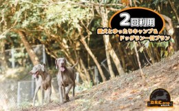 【ふるさと納税】キャンプ ドッグラン 愛犬 宿泊 食事付き 体験 5名様分 ２回利用【ドッグラン キャンプ 大型犬 小型犬 中型犬 ペット】