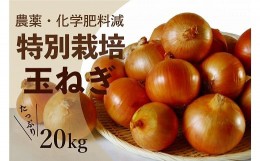 【ふるさと納税】R6年産　玉ねぎ　20kg　特別栽培/011-13054-b01B