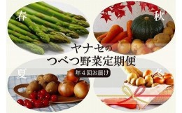 【ふるさと納税】つべつ野菜定期便　（年4回お届け）　ヤナセ農園/055-27139-b04A