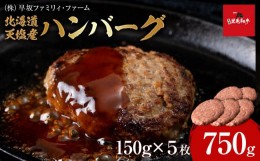 【ふるさと納税】黒毛和牛 天塩和牛 ハンバーグ 150g×5枚セット ＜早坂ファーム＞