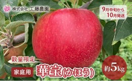 【ふるさと納税】【数量限定 9月中旬から10月発送】家庭用 華宝(かほう) 約5kg 希少りんご 工藤農園【弘前市産・青森りんご】