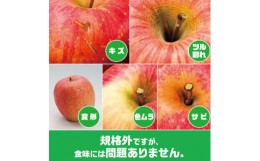 【ふるさと納税】内容量　約10Kg　訳ありりんご　早生ふじ　24〜46個入＜2024年9月末〜発送開始＞【1333053】