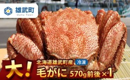 【ふるさと納税】オホーツク産 大 毛ガニ 冷凍 570ｇ かに 蟹ミソ かにみそ 焼きがに かに鍋 北海道 ふるさと納税 雄武 雄武町【12402】