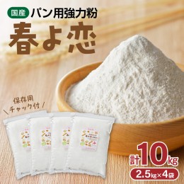 【ふるさと納税】【小麦粉】国産 “春よ恋” パン用 強力粉 2.5kg×4袋（計10kg）　H008-208