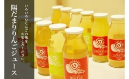 【ふるさと納税】山善 齊藤農園　12種類の陽だまりりんごジュース12本セット（各180ml）