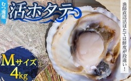 【ふるさと納税】むつ湾で獲れた活ホタテ Mサイズ 約4.0kg【活ほたて本舗】 ホタテ ほたて 帆立 活ホタテ 生ほたて 生ホタテ 刺身 殻付き