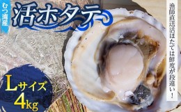 【ふるさと納税】むつ湾で獲れた活ホタテ Lサイズ 約4.0kg【活ほたて本舗】 ホタテ ほたて 帆立 活ホタテ 生ほたて 生ホタテ 刺身 殻付き