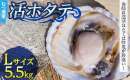 【ふるさと納税】むつ湾で獲れた活ホタテ Lサイズ 約5.5kg【活ほたて本舗】 ホタテ ほたて 帆立 活ホタテ 生ほたて 生ホタテ 刺身 殻付き