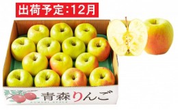 【ふるさと納税】12月  贈答規格 ぐんま名月約5kg　糖度13度以上【青森りんご・マルコウアップル】