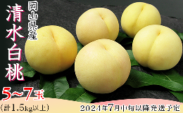 【ふるさと納税】74-12岡山県産 清水白桃5〜7玉（計1.5kg以上）【2024年7月中旬〜7月下旬発送予定】