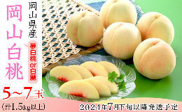 【ふるさと納税】74-14岡山県産 岡山白桃5〜7玉（夢白桃もしくは白麗）【2024年7月下旬〜8月上旬発送予定】