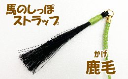 【ふるさと納税】蹄鉄（アルミ製・シルバー）×ストラップ（鹿毛） / 馬毛 本物 尻尾 インテリア