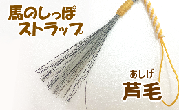 【ふるさと納税】蹄鉄（鉄製・ゴールド）×ストラップ（芦毛） / 馬毛 本物 尻尾 インテリア