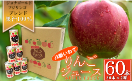 【ふるさと納税】JA新いわてりんごジュース 2ケース　【03303-0089】