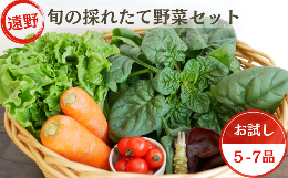 【ふるさと納税】【お試し版】旬のとれたて野菜セット(5~7品)【こんたでぃーの遠野】