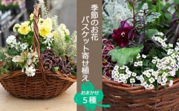 【ふるさと納税】季節のお花 寄せ植え5種 バスケット入り ／ 生花 ギフト お祝い 彩花園