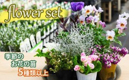 【ふるさと納税】【フラワーセット】季節の花の苗（5個以上） ／ 植物 花 ガーデニング 庭 彩花園