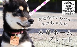 【ふるさと納税】本革 ペット用ネームプレート【ナチュラル】 ／ 犬 猫 ペット 迷子札 4358