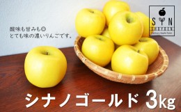 【ふるさと納税】【予約受付 2024年11月下旬から順次発送】松陽園 樹上 完熟 りんご シナノゴールド 3kg　岩手県 遠野市 農家直送