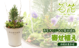 【ふるさと納税】百花オリジナルの寄せ植え（5000円分）【百花 -MoKa-】 / フラワー 花 お花 プレゼント 母の日