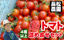 【ふるさと納税】＜早期予約＞令和６年度産 長松農園トマト詰め合せ セット 4種類以上 約２kg【滝沢産業開発株式会社】