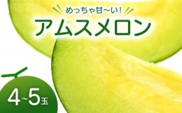 【ふるさと納税】【先行予約】めっちゃ甘いアムスメロン4〜5玉【アムス メロン 先行予約 早期予約 季節限定 期間限定 果物 フルーツ お土