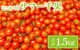 【ふるさと納税】ミニトマト(サマー千果)1.5？【ミニトマト 甘い 1.5kg 1箱 トマト 旬 濃厚 自家製肥料 リコピン ギフト 贈り物 お弁当 