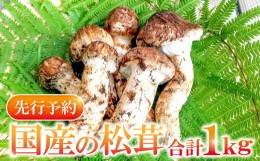 【ふるさと納税】国産まつたけ　1？【先行予約 野菜 きのこ キノコ 松茸 まつたけ マツタケ 1kg 朝どれ 松茸ごはん 焼きまつたけ 土瓶蒸