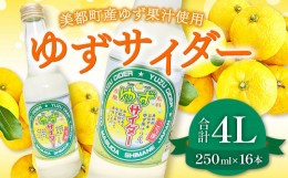 【ふるさと納税】ゆずサイダー　16本入り【250ml×16本 飲料類 炭酸飲料 ジュース サイダー ご当地サイダー ゆず果汁 果物 フルーツ 柚子