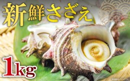 【ふるさと納税】日本海の新鮮さざえ　1kg【サザエ 魚介類 魚貝類 貝類 さざえ 新鮮 日本海 山陰沖 佃煮 つぼ焼き おつまみ 冷蔵】