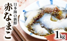 【ふるさと納税】日本海の新鮮　赤なまこ　1kg【先行予約 魚貝類 魚介類 ナマコ 海鼠 赤ナマコ アカコ 冷蔵 期間限定 季節限定 早期予約 