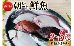 【ふるさと納税】南三陸朝どれ鮮魚BOX2〜3人分