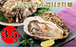 【ふるさと納税】南三陸志津川産の殻付き牡蠣3.5kg（1kgあたり6〜9個）