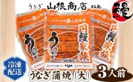 【ふるさと納税】No.104 うなぎ蒲焼（大）　3人前 ／ 鰻 ウナギ 老舗 宮城県