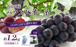 【ふるさと納税】ハウスピオーネ 大房約1.2kg 化粧箱入り