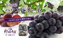 【ふるさと納税】ハウスピオーネ 約2kg