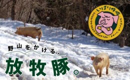 【ふるさと納税】シェフもおすすめ「日本で一番おいしい豚肉！」★いばり仔豚★ソーセージ＆ベーコン＆ハム4種詰め合わせコース