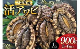 【ふるさと納税】三陸天然活アワビＬサイズ900g（5〜6個入）刺身 ステーキ株式会社マルヤ五洋水産（あわび 鮑 天然 蝦夷あわび 海鮮 貝 