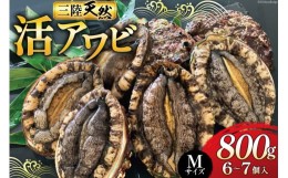 【ふるさと納税】三陸天然活アワビMサイズ800g（6〜7個入）刺身 ステーキ