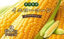 【ふるさと納税】イエローコーン（ゴールドラッシュ）約3kg