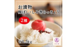 【ふるさと納税】大満足 お漬物2種セット 梅干し 梅ぼし しそ巻らっきょう 食べ比べ お漬物 【02002】