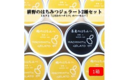 【ふるさと納税】国産純粋はちみつ「耕野のはちみつ」ジェラート8個セット（2種×4個） 【21103】