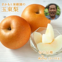 【ふるさと納税】さかもと果樹園の玉東梨 約3kg (3玉-10玉前後)《8月上旬-10月上旬頃出荷》熊本県玉名郡玉東町 梨 なし 果物 旬の梨 