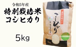 【ふるさと納税】令和五年産特別栽培米 コシヒカリ 5kg お米 コシヒカリ