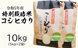 【ふるさと納税】令和五年特別栽培米 コシヒカリ 10kg お米 コシヒカリ