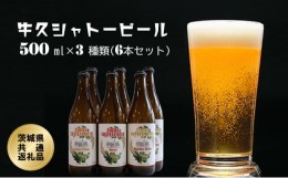 【ふるさと納税】牛久シャトービール3種類（6本セット）(茨城県共通返礼品)