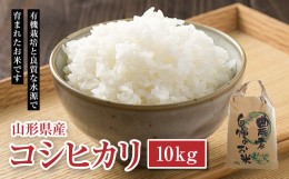 【ふるさと納税】《先行予約》令和6年度産 新米 山形県産 コシヒカリ 10kg(5kg×2) お米 白米 精米 ごはん  山形県 高畠町 F20B-132